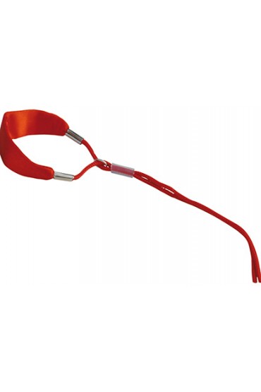 Show Tech Show Lead Si...