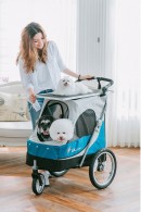 Petstro Medium Buggy, Purple/Grey