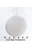 NAGAYU STARTER KIT (SHOWER HEAD+10 PC SPA TABLETS)