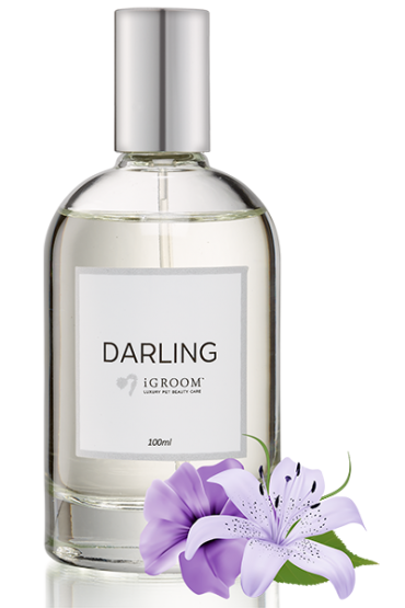 Cologne iGroom Darling
