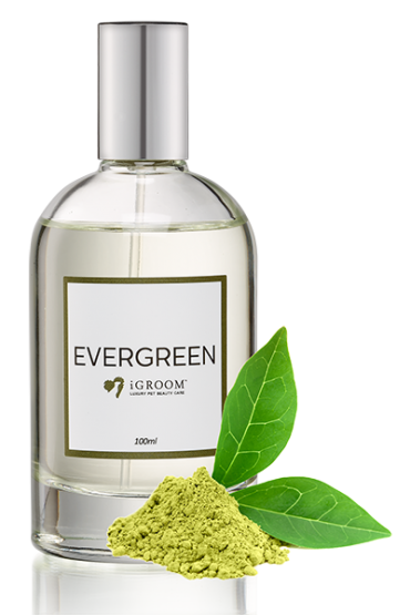 Cologne iGroom Evergreen