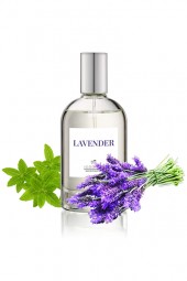 Cologne iGroom Lavende...